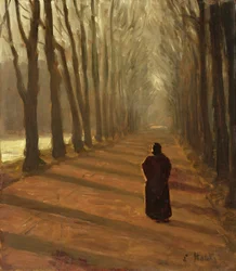 Allee am Küchengraben im Karlsaue Park, Kassel